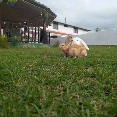 Quinta Winay Yaruqui Exterior foto