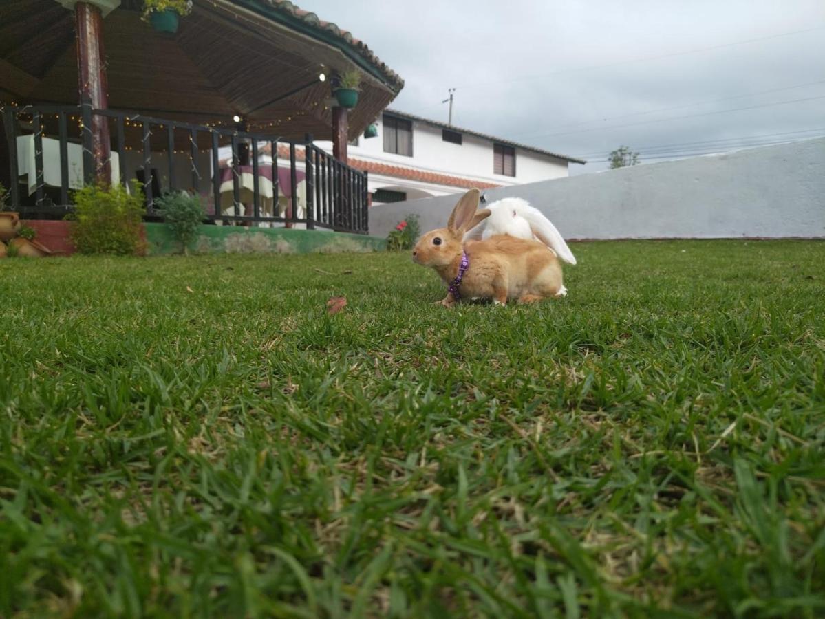 Quinta Winay Yaruqui Exterior foto
